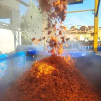 تفاله گوجه جو علوفه ذرت کاه یونجه چغندر میش بره
