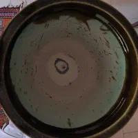 گلدان|گل و گیاه طبیعی|صدرا-فارس, فاز ۱|دیوار