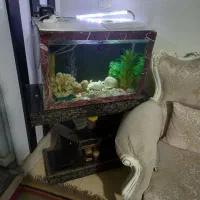 اکواریوم فوق العاده خوشکل وکامل