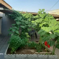 منزل مسکونی ویلایی۲۰۰متر