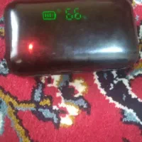 ارپاد سالم به شرت