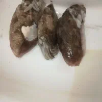 طعمه ماهیگیری مرکب