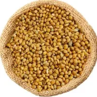 ارزن عالی  تازه