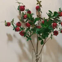 شاخه گل انار