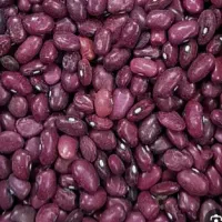 لوبیا قرمز ۱۰۰کیلو