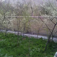 ویلایی-250متری-دوطبقه-خیابان-امام-رضا-حامدطلوع
