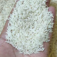 برنج هاشمی نقد و چکی