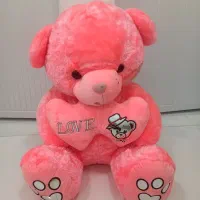 خرس بزرگ کاملا سالم