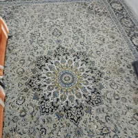 فرش|فرش|نیشابور, شهید بهشتی|دیوار