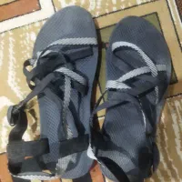 صندل بفروش میرسد