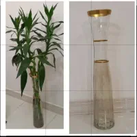 گلدان شیشه ای بزرگ