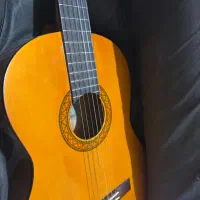 گیتار c40