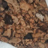 نون خشک دامی