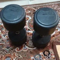 دمبل ۲۵ کیلویی