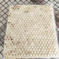 اخذ نمایندگی فروش نان لواش