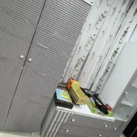 سرویس چوب نوجوان سیسمونی