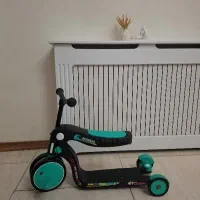 اسکوچی