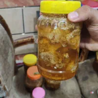 عسل کوهی بهاره