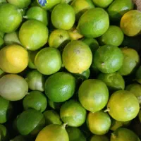 میوه تره بار