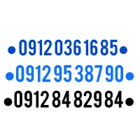 09120361685