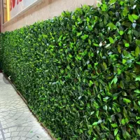 فنس چمنی و برگ ریحون