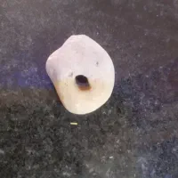 سنگ خدا سنگ شانس
