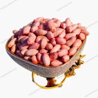 بادام زمینی تبرک مغان شعبه تهران - خرید مستقیم