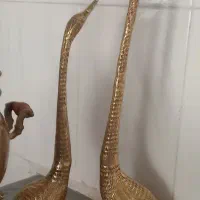 قوی عاشق برنجی سالم نو 5میلیون