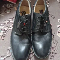 کفش مجلسی