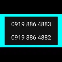 دو عدد سیم کارت 919 رند و مشابه