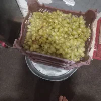 انگورتازه