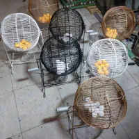 گردونه شانس