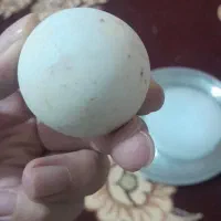 سنگ الماس آسیاب