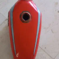 باک گوجه ای