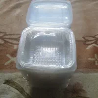 فقط امروز