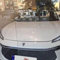 لاماری ایما سفید صدفی