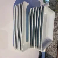 برنج و خورشت خوری