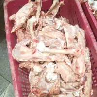 اسکلت گردن بوغلمون تازه رسید