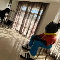 اجاره ویلا استخر و جکوزی رودهن