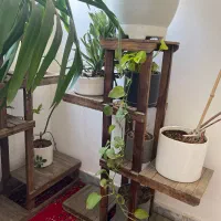 گل و گلدان