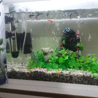 آکواریوم شیشه خم