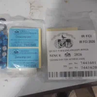 پلاک کبوتر اصلی