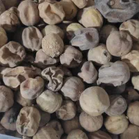 لیمو خشک تضمینی بدون تلخی