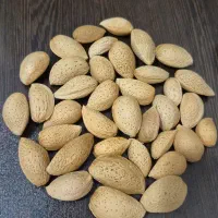 بادام سنگی طبیعی ایرانی