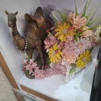 شتر با گاری