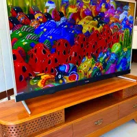 تلوزیون ایکس ویژن 4k و هوشمند