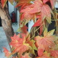 گل مصنوعی|گل مصنوعی|تهران, سجاد|دیوار