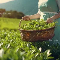 کار برای خودمون که خانم هستیم میخایم