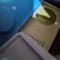 چند عدد لونه مرغ عشق