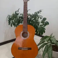 گیتار اریا